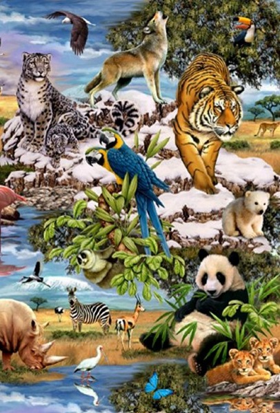 Серия - Мир животных