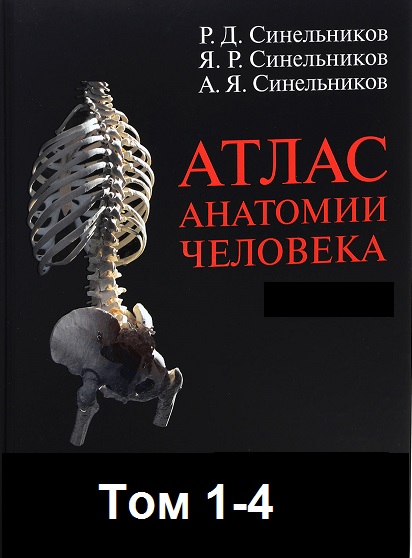 Атлас анатомии человека - Сборник книг